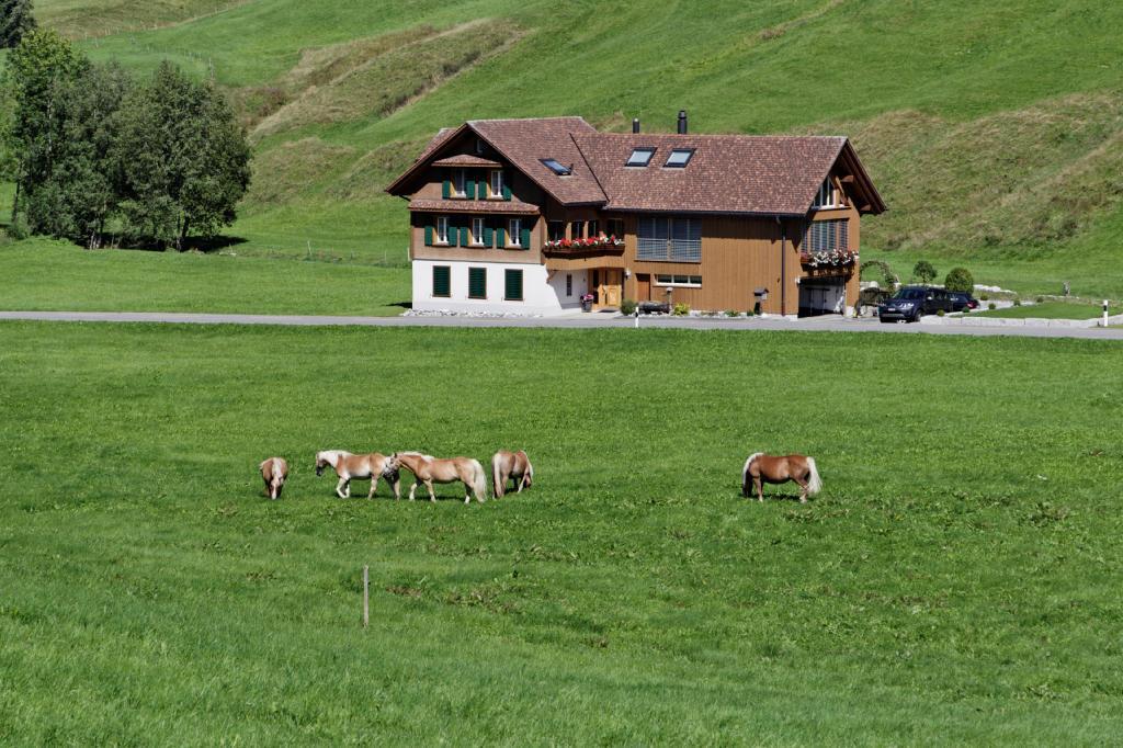 Haflingerhof Fruhboden Villa Egg Exterior photo
