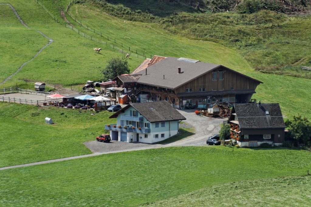 Haflingerhof Fruhboden Villa Egg Exterior photo